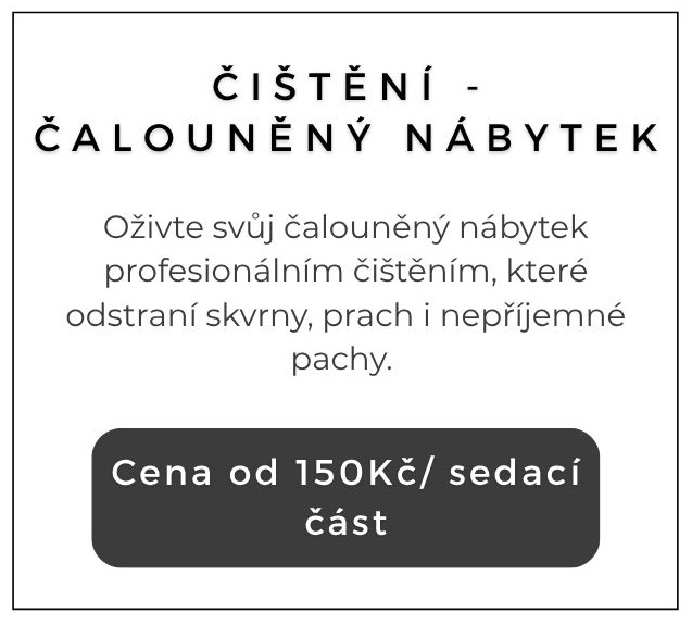 Čištění čalouněného nábytku 