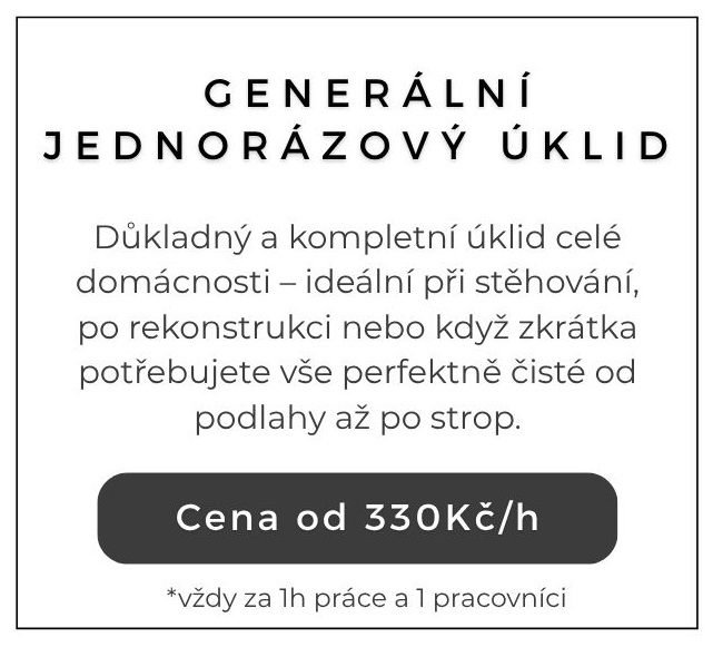 Generální jednorázový úklid
