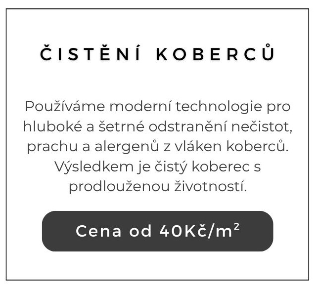 Čištění koberců 